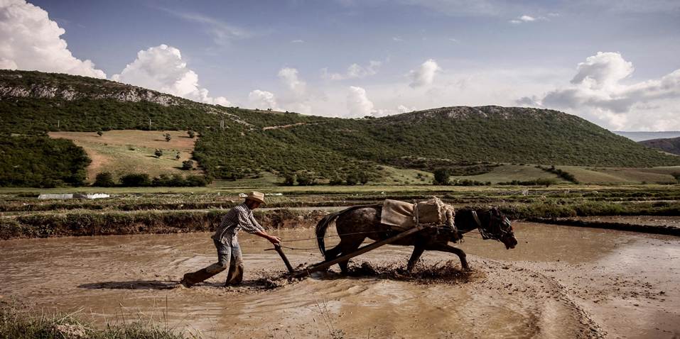 The planet, and human social life, depend on peasant farmers | Aeon Essays