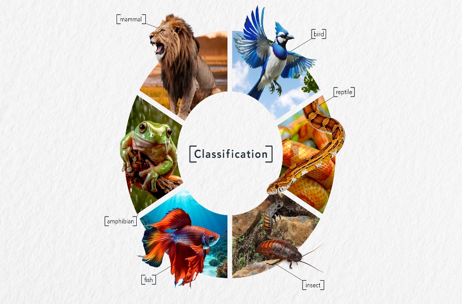 Classification wheel dividing animals into mammal, bird, reptile, insect, fish and amphibian.